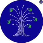 Synapse 3s- blog