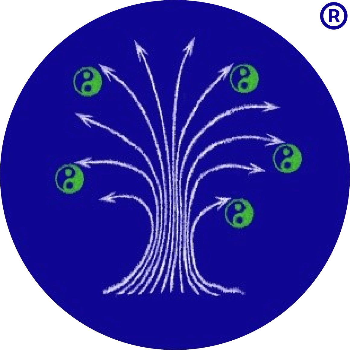 Synapse 3s- blog
