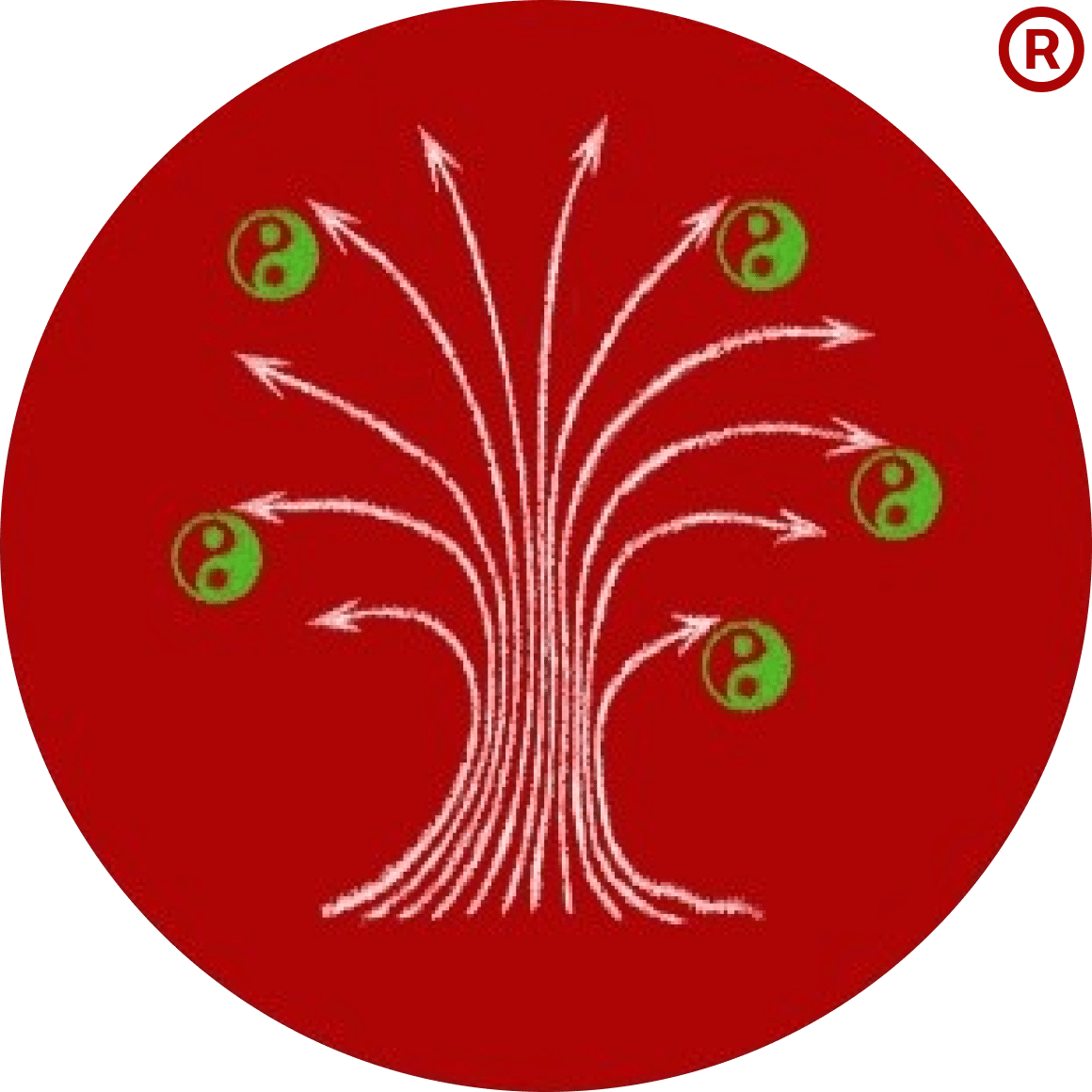Synapse 3s- - Qui sommes-nous