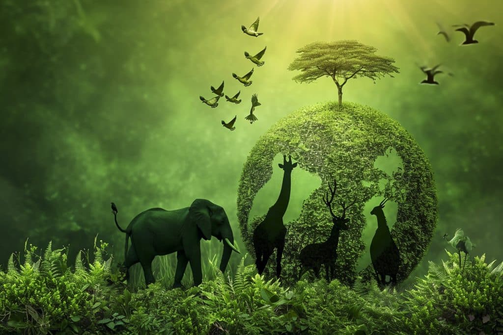 fresque du climat